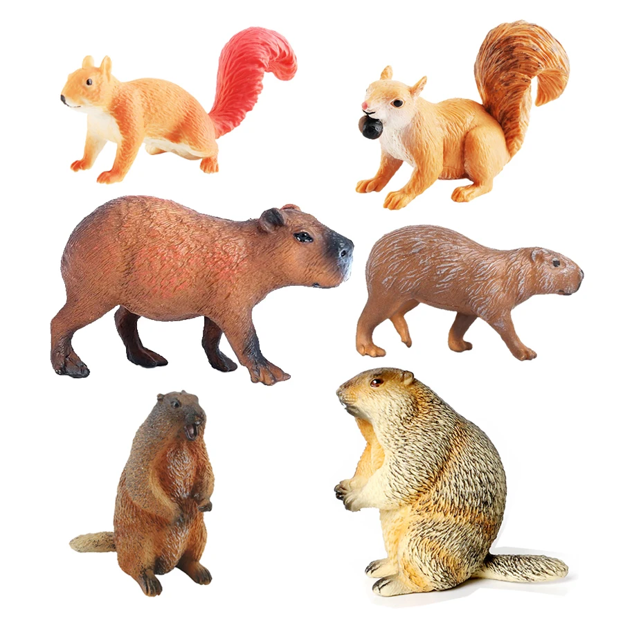 Capibara Capybaras 다람쥐 Marmot  - Kids Toys Reviews 리뷰 및 가격