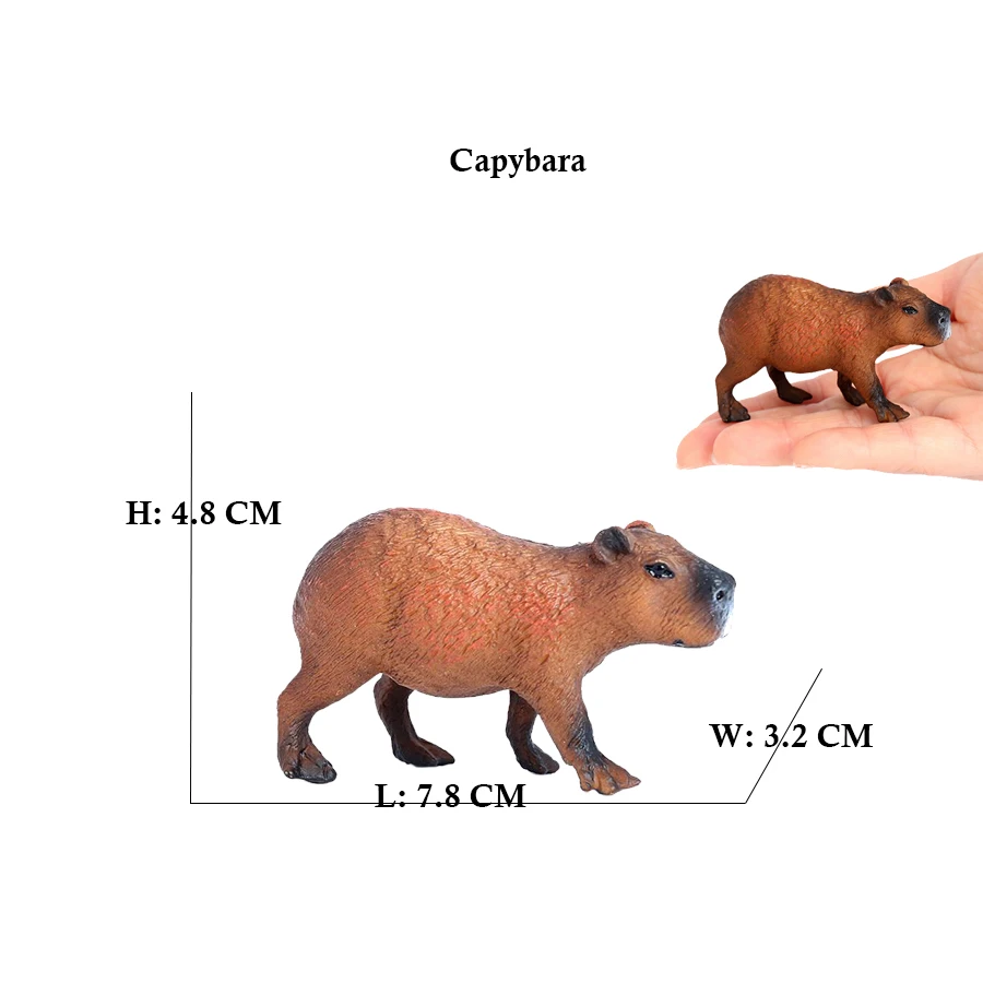 Capibara Capybaras 다람쥐 Marmot  - Kids Toys Reviews 리뷰 및 가격