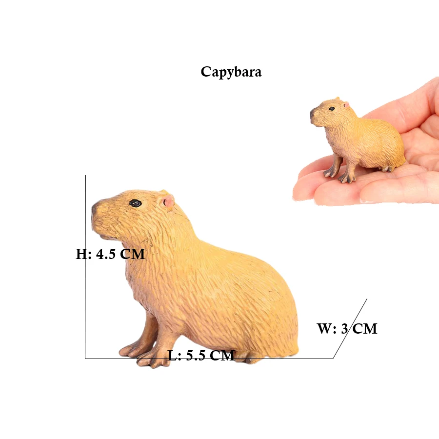 Capibara Capybaras 다람쥐 Marmot  - Kids Toys Reviews 리뷰 및 가격