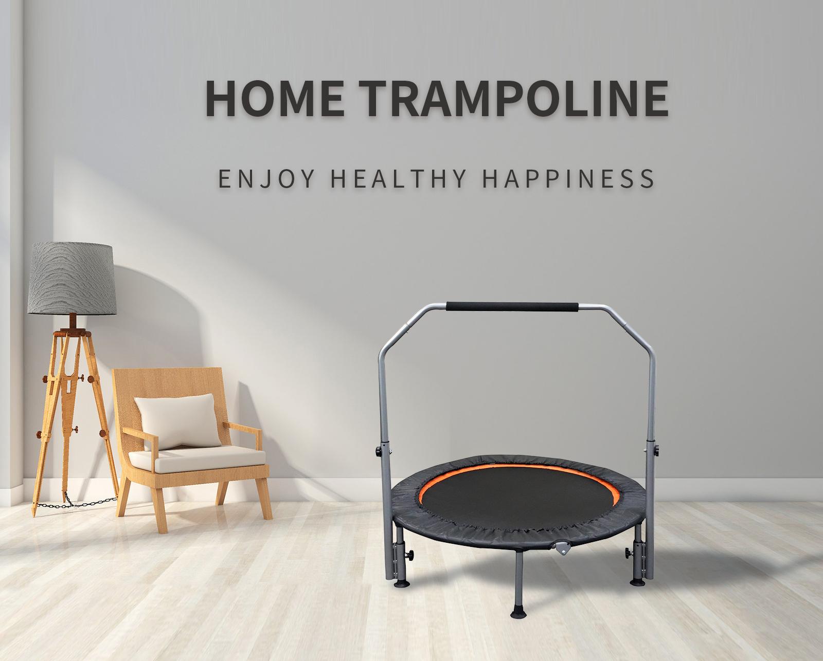 성인용 조절 가능한 손잡이가 있는 접이식 미니 피트니스 - Trampoline Mini Indoor 리뷰 및 가격
